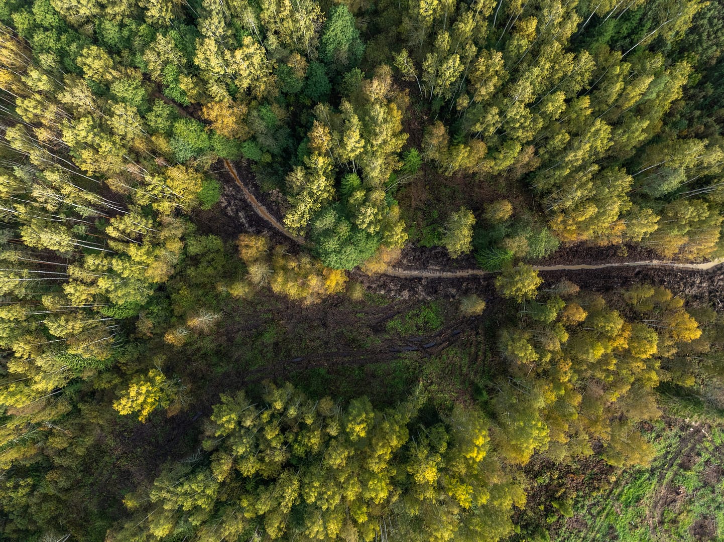 Sügis 2024 Tõutsimäel DJI 0880 HDR scaled